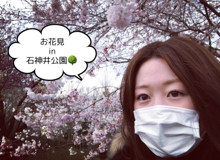 お花見 桜満開 石神井公園がとてもゆったりしていい感じだった こでんメモリ お花見 桜満開 石神井公園がとてもゆったりしていい感じだった こでんメモリ