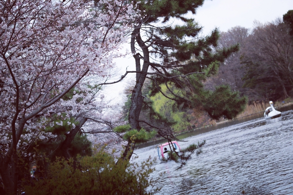 f:id:coden:20180327091709j:plain f:id:coden:20180327091709j:plain