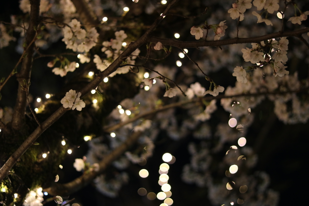 f:id:coden:20180328142412j:plain