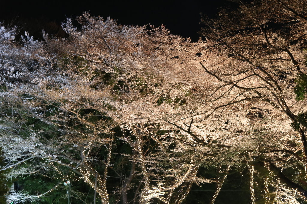 f:id:coden:20180328143714j:plain