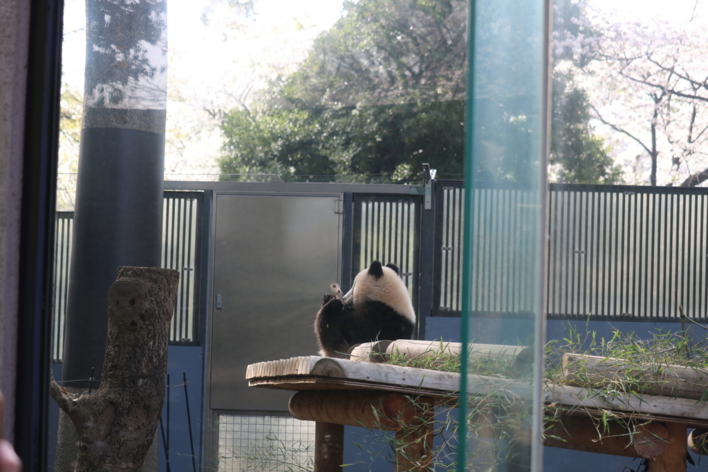 f:id:coden:20180330103029j:plain f:id:coden:20180330103029j:plain