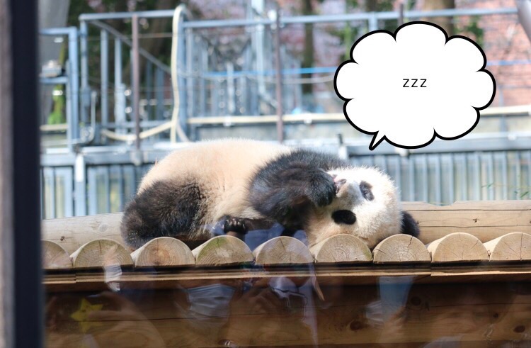 f:id:coden:20180330103435j:plain f:id:coden:20180330103435j:plain