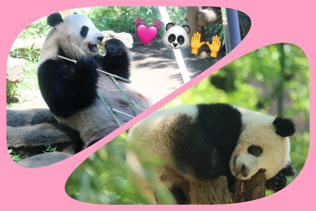 f:id:coden:20180604150833j:plain