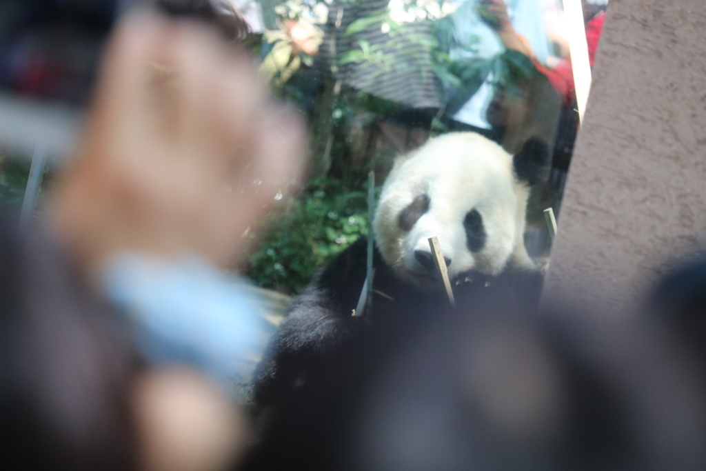 f:id:coden:20180604153518j:plain