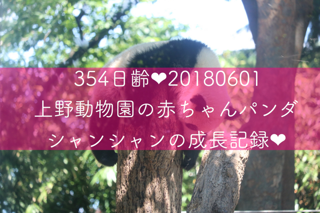 f:id:coden:20180604154712j:plain