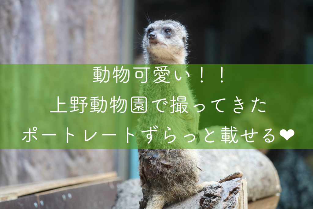 f:id:coden:20180606091657j:plain