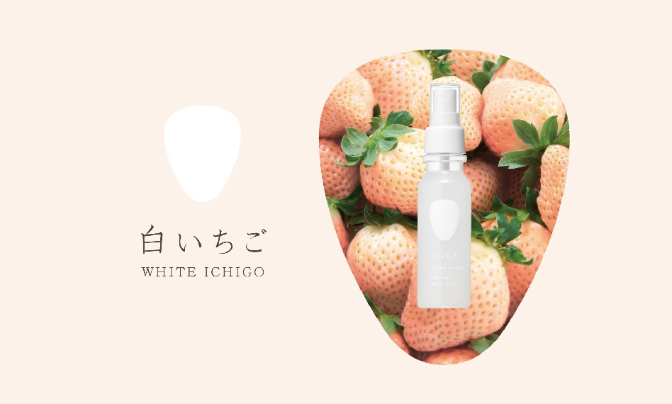 f:id:coden:20180625153659p:plain f:id:coden:20180625153659p:plain