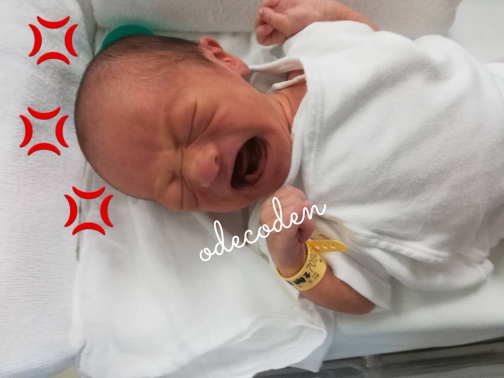 f:id:coden:20180702164107j:plain