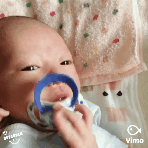 f:id:coden:20180712120148g:plain f:id:coden:20180712120148g:plain