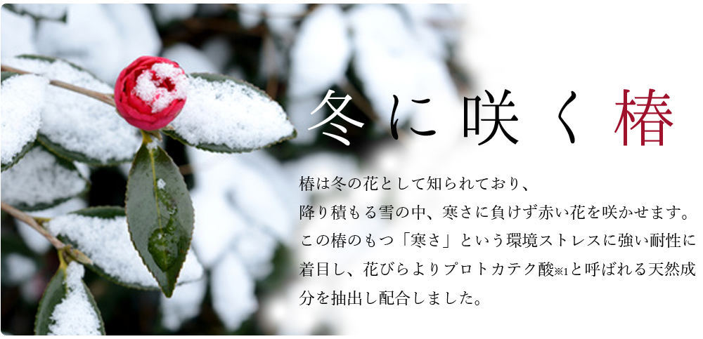 f:id:coden:20180713100850j:plain