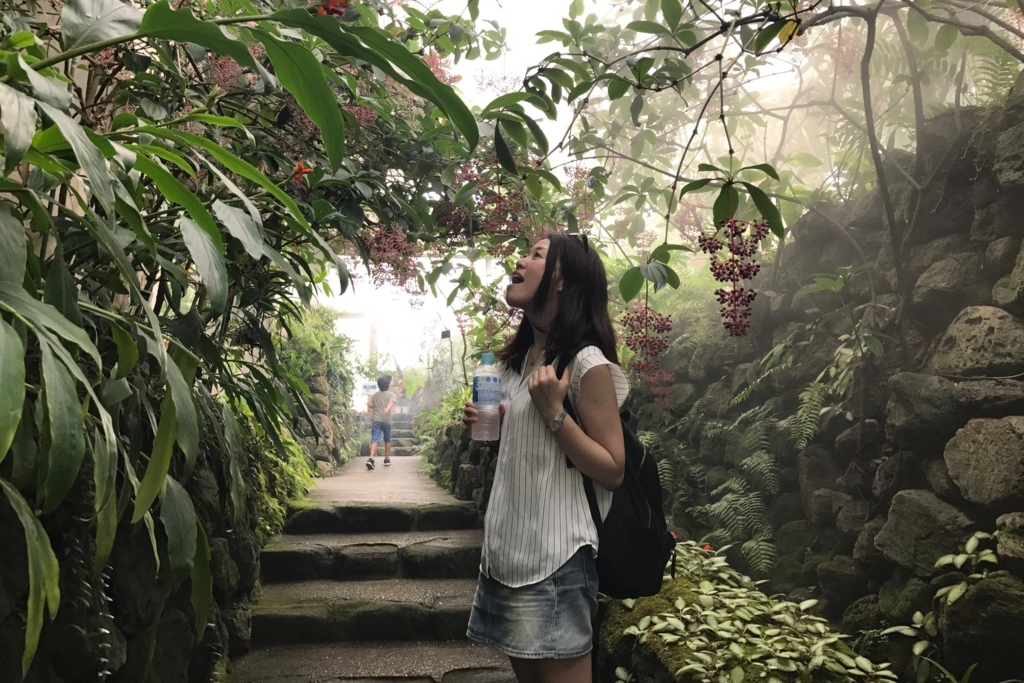 f:id:coden:20180816101353j:plain