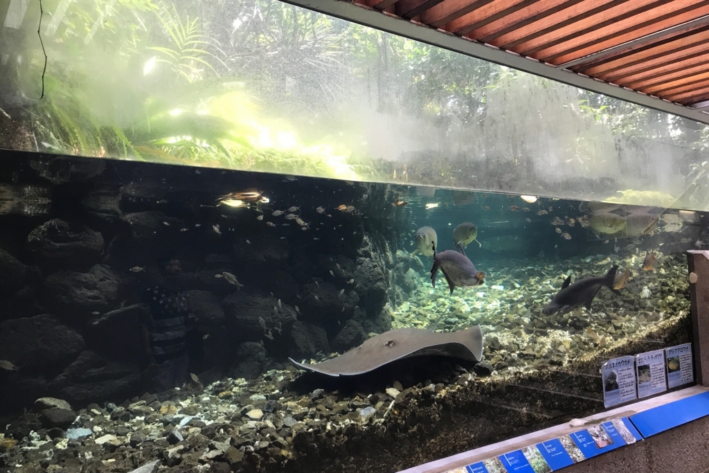 f:id:coden:20180816101822j:plain