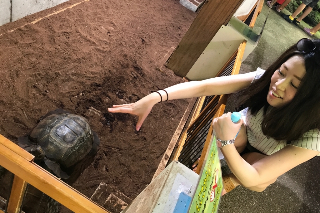 f:id:coden:20180816102630j:plain