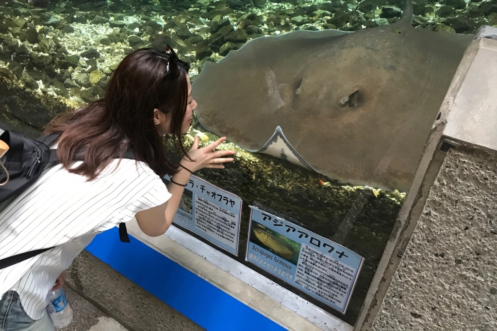 f:id:coden:20180816102649j:plain