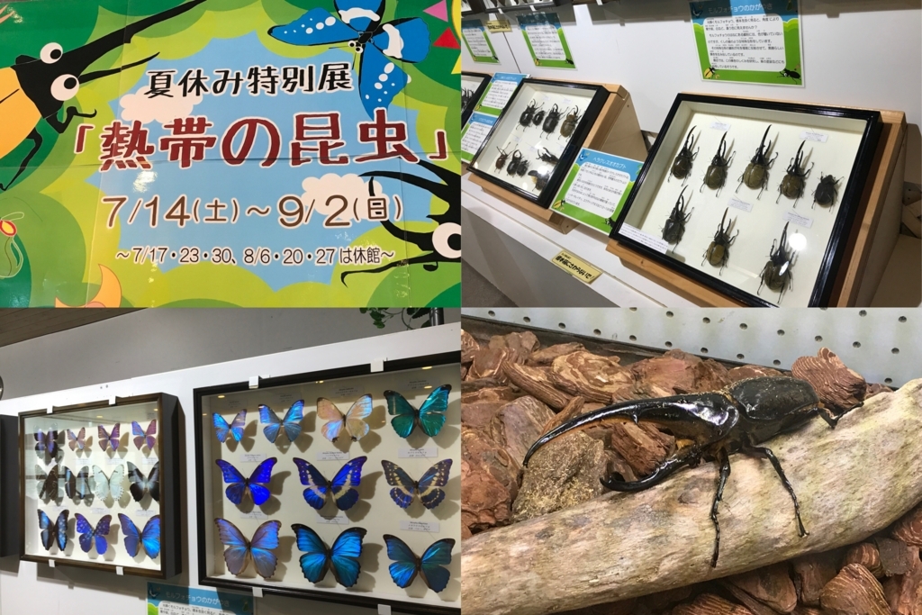 f:id:coden:20180816103725j:plain