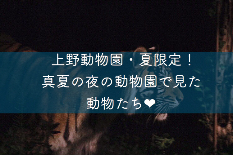 f:id:coden:20180817143738j:plain