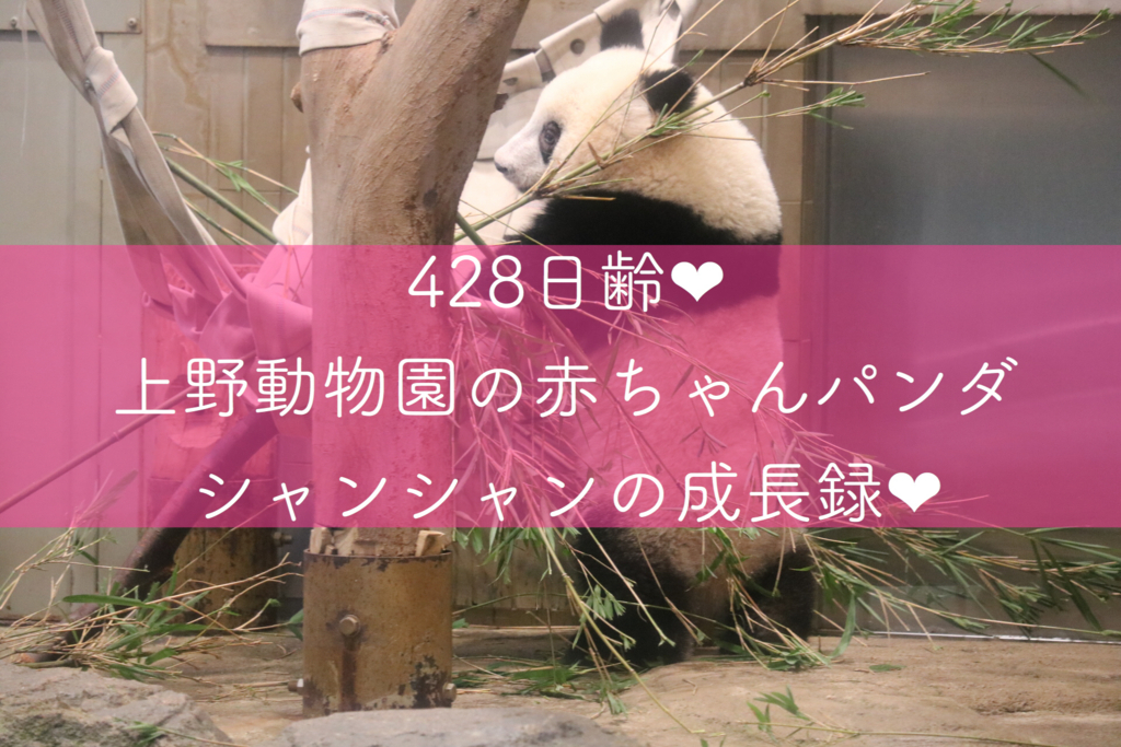 f:id:coden:20180817162942j:plain
