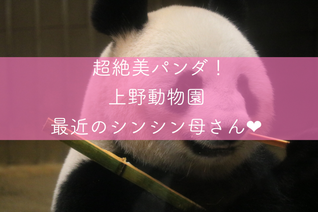 f:id:coden:20180818085005j:plain