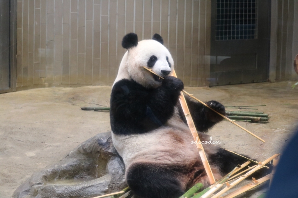 f:id:coden:20180818092913j:plain f:id:coden:20180818092913j:plain