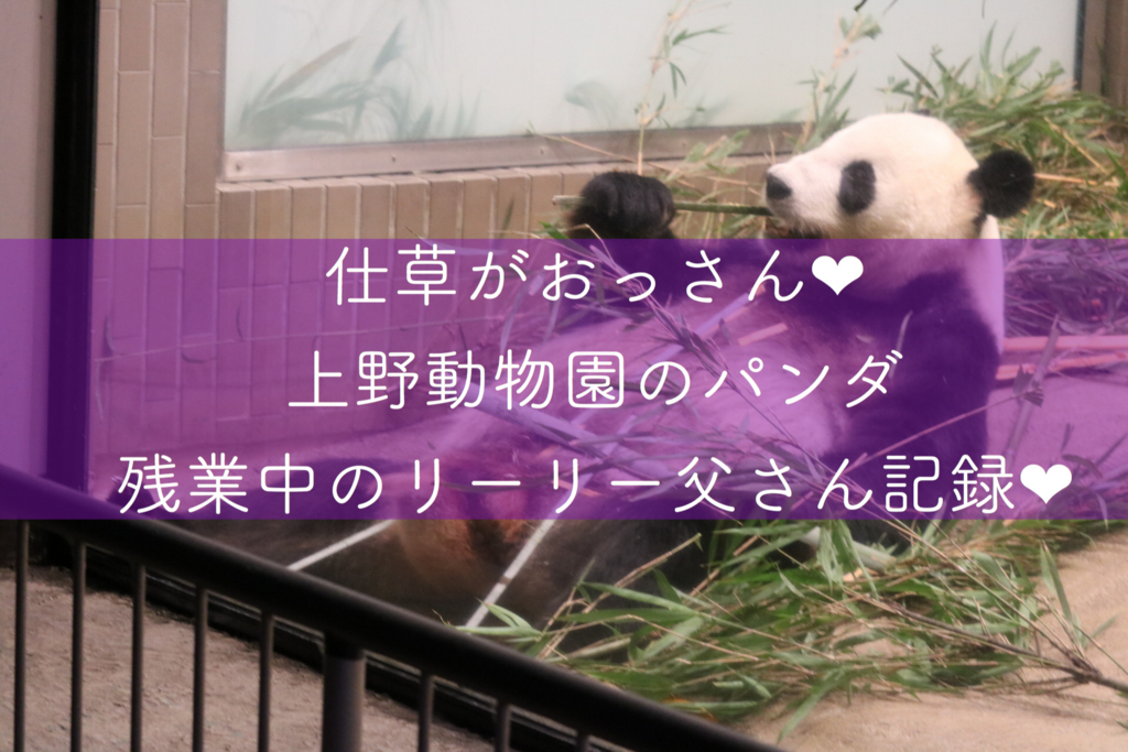 f:id:coden:20180818093251j:plain