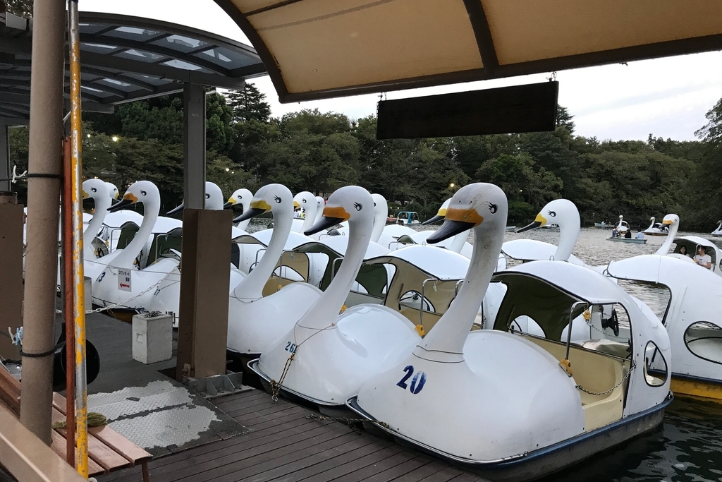 f:id:coden:20180927111234j:plain