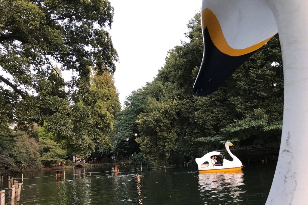 f:id:coden:20180927111255j:plain