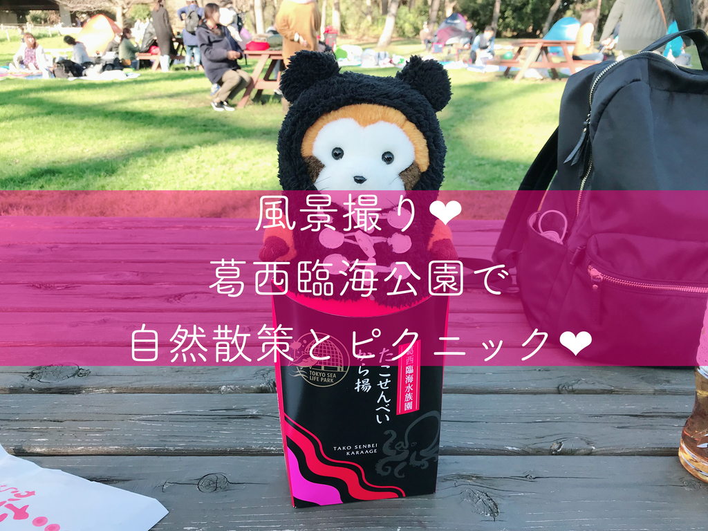 f:id:coden:20181130141152j:plain f:id:coden:20181130141152j:plain