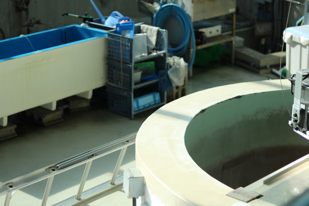 f:id:coden:20181203150453j:plain f:id:coden:20181203150453j:plain