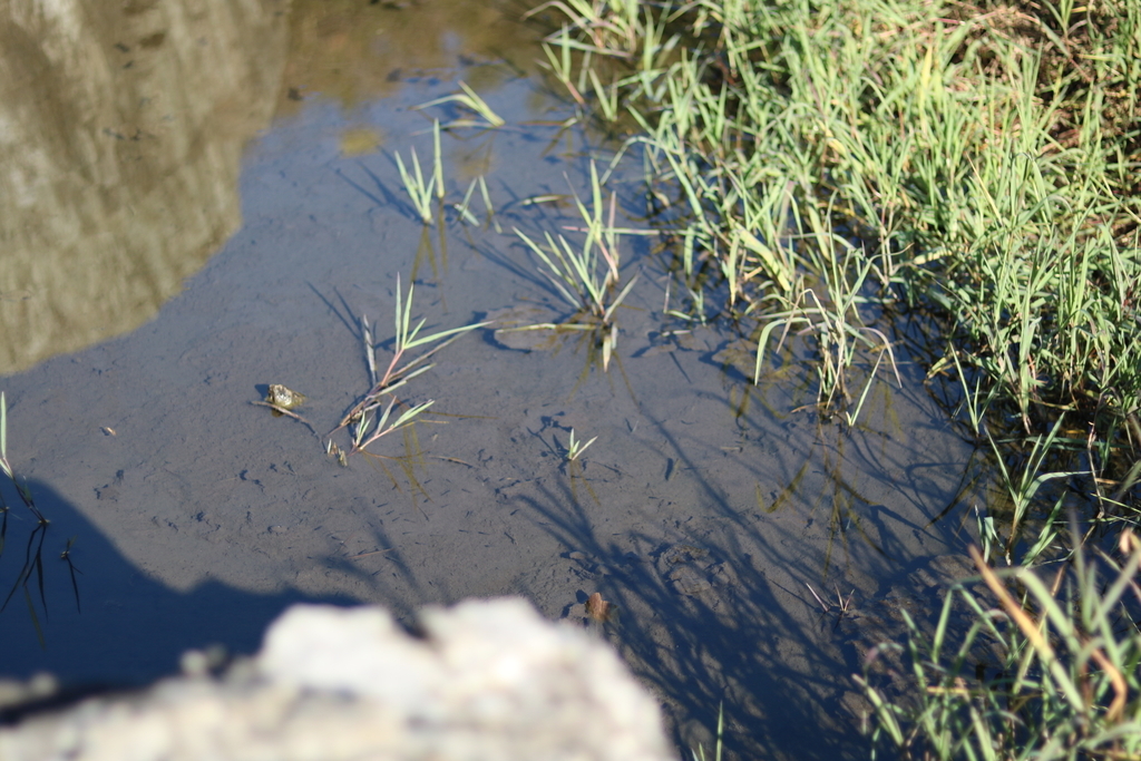 f:id:coden:20181203152116j:plain f:id:coden:20181203152116j:plain