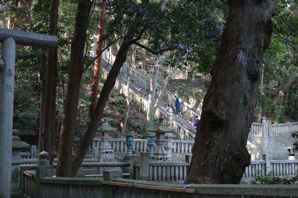 f:id:coden:20190202151656j:plain