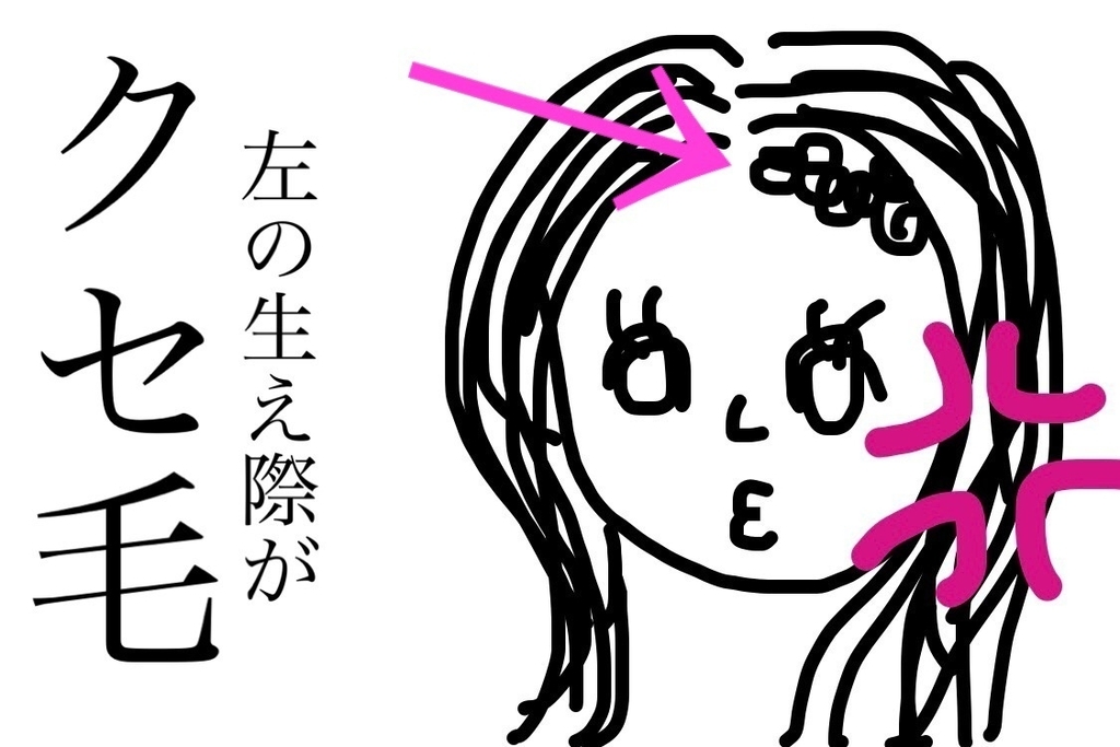 f:id:coden:20190204175652j:plain