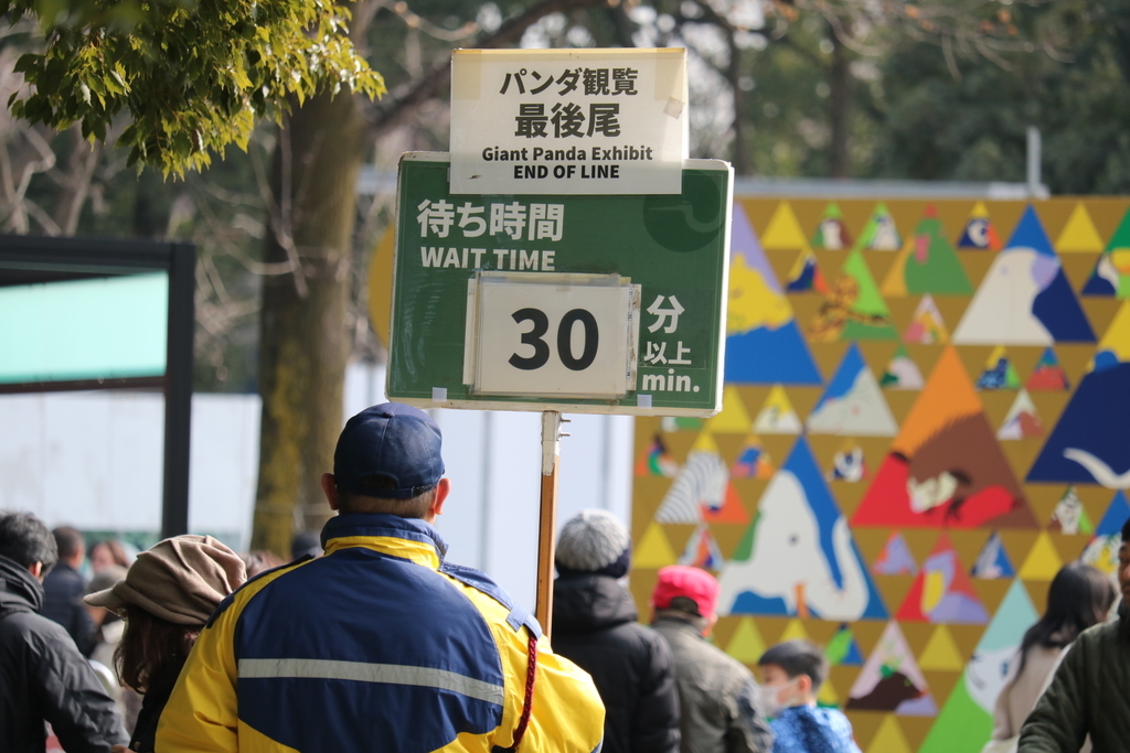 f:id:coden:20190204180743j:plain