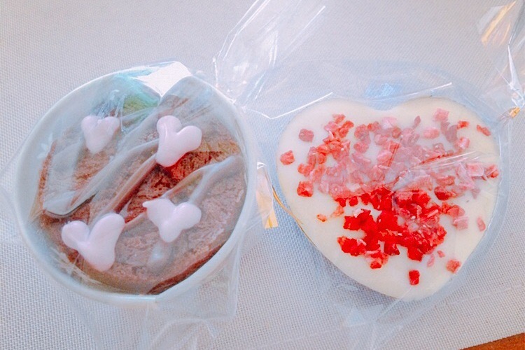 f:id:coden:20190214121600j:plain