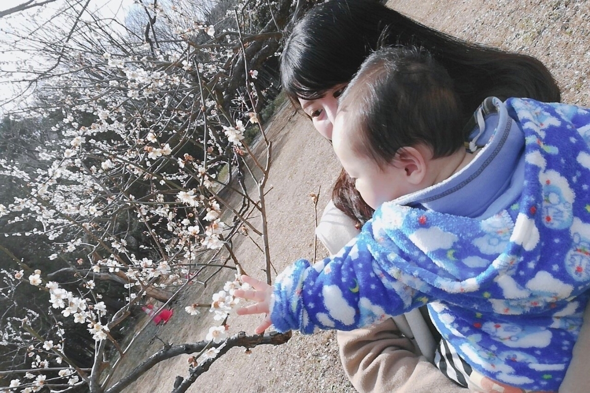 f:id:coden:20190318110309j:plain