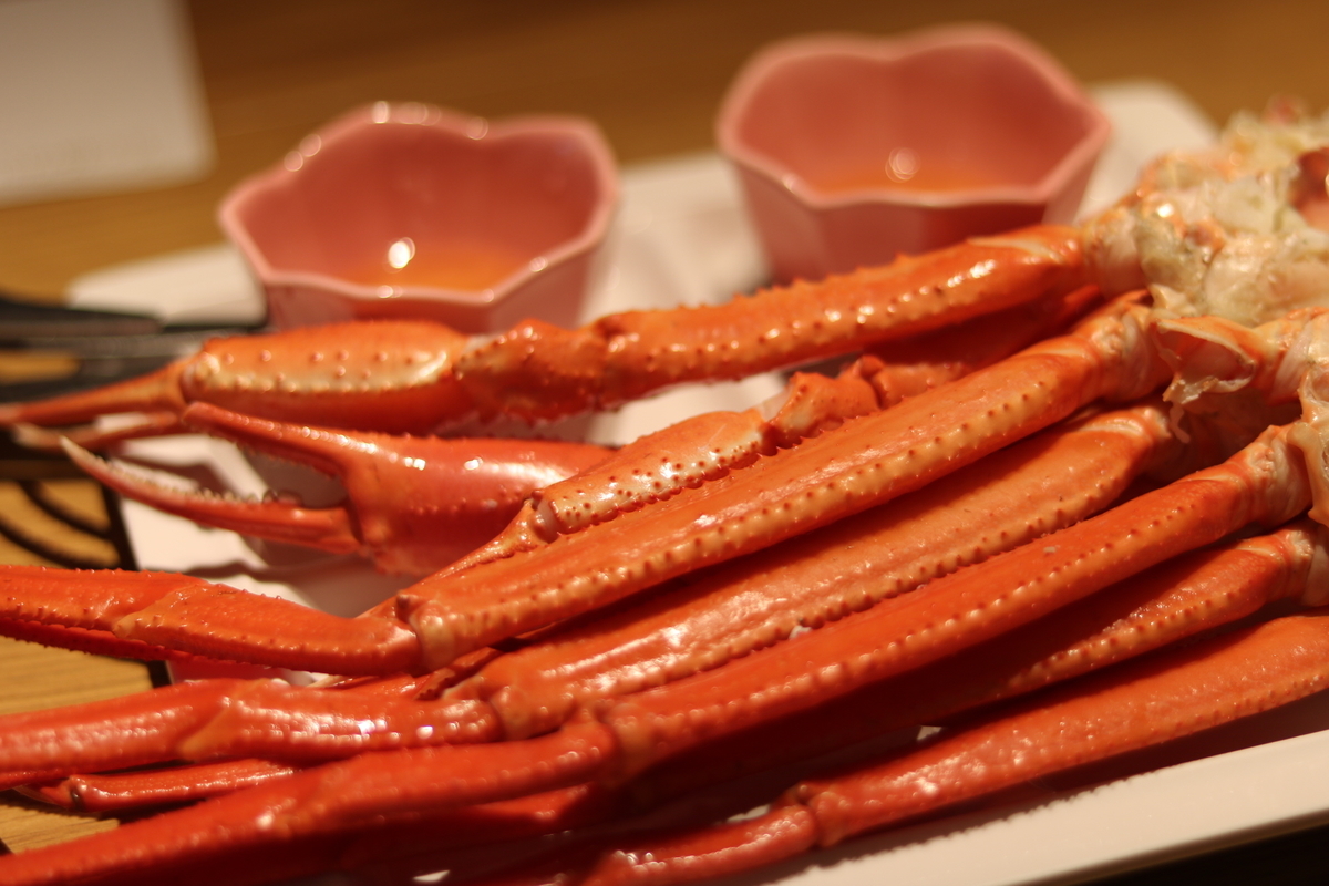 f:id:coden:20190328081908j:plain