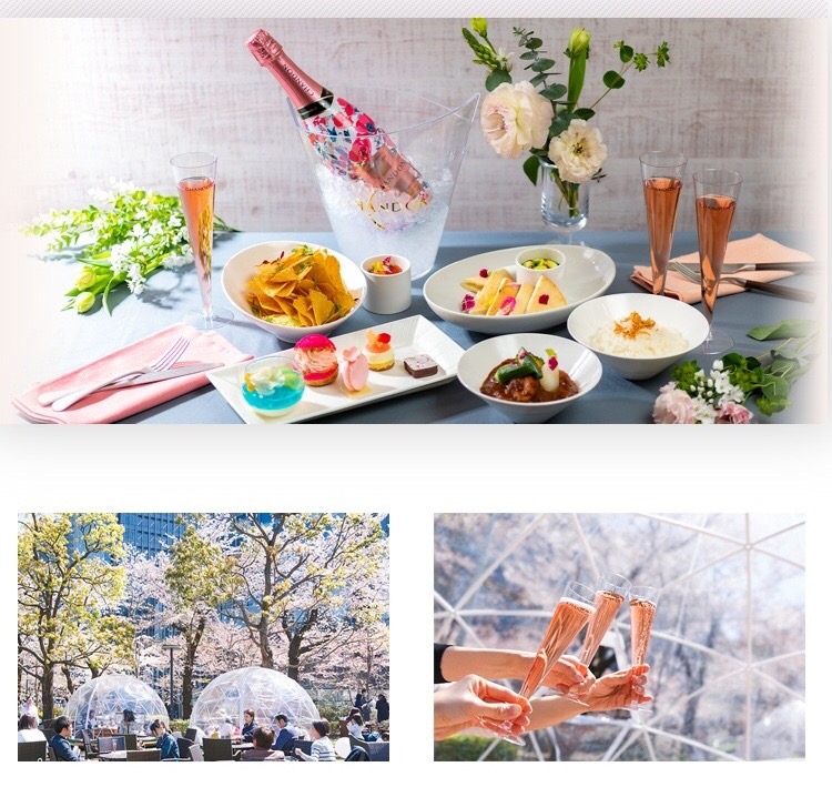 f:id:coden:20190410155930j:plain