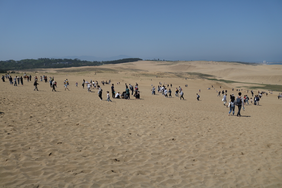 f:id:coden:20190509124233j:plain