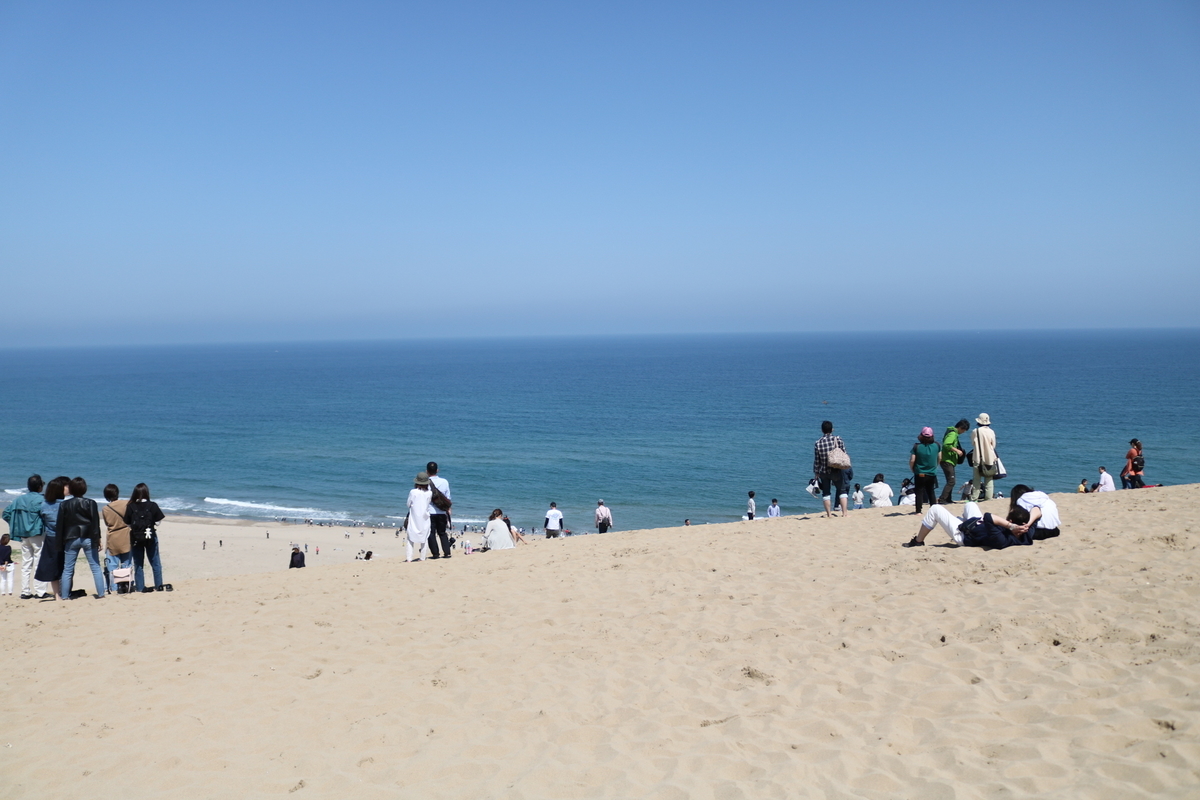 f:id:coden:20190509124326j:plain