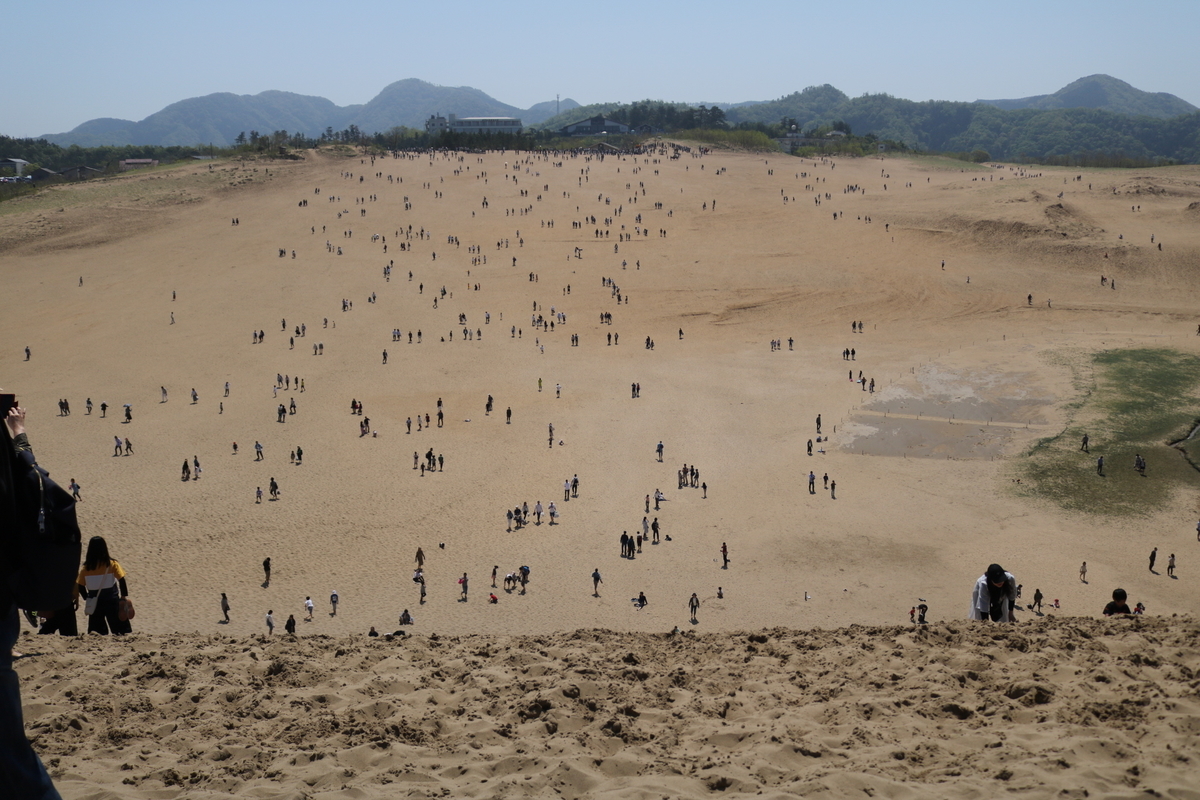 f:id:coden:20190509124351j:plain