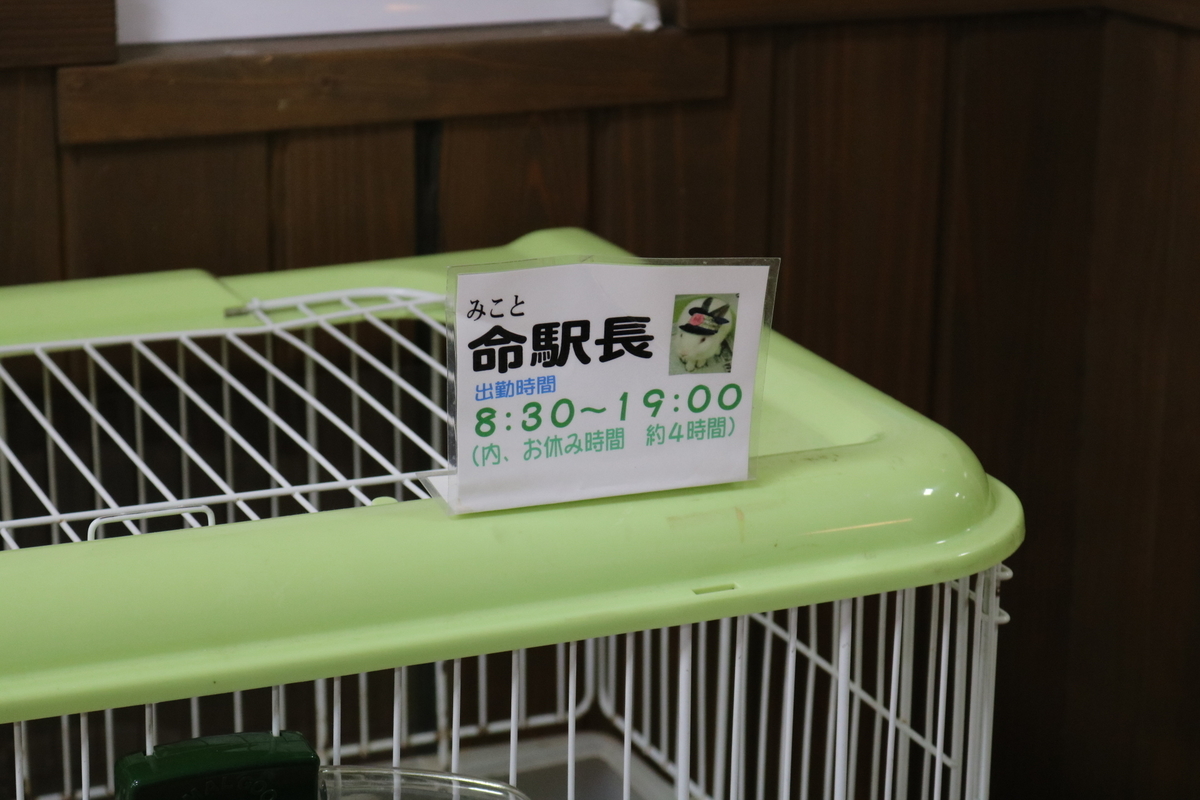 f:id:coden:20190509124615j:plain