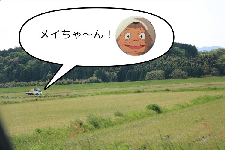 f:id:coden:20190509130545j:plain f:id:coden:20190509130545j:plain
