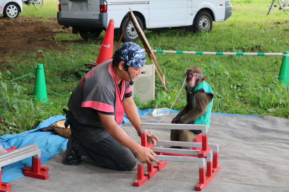 f:id:coden:20190822113058j:plain