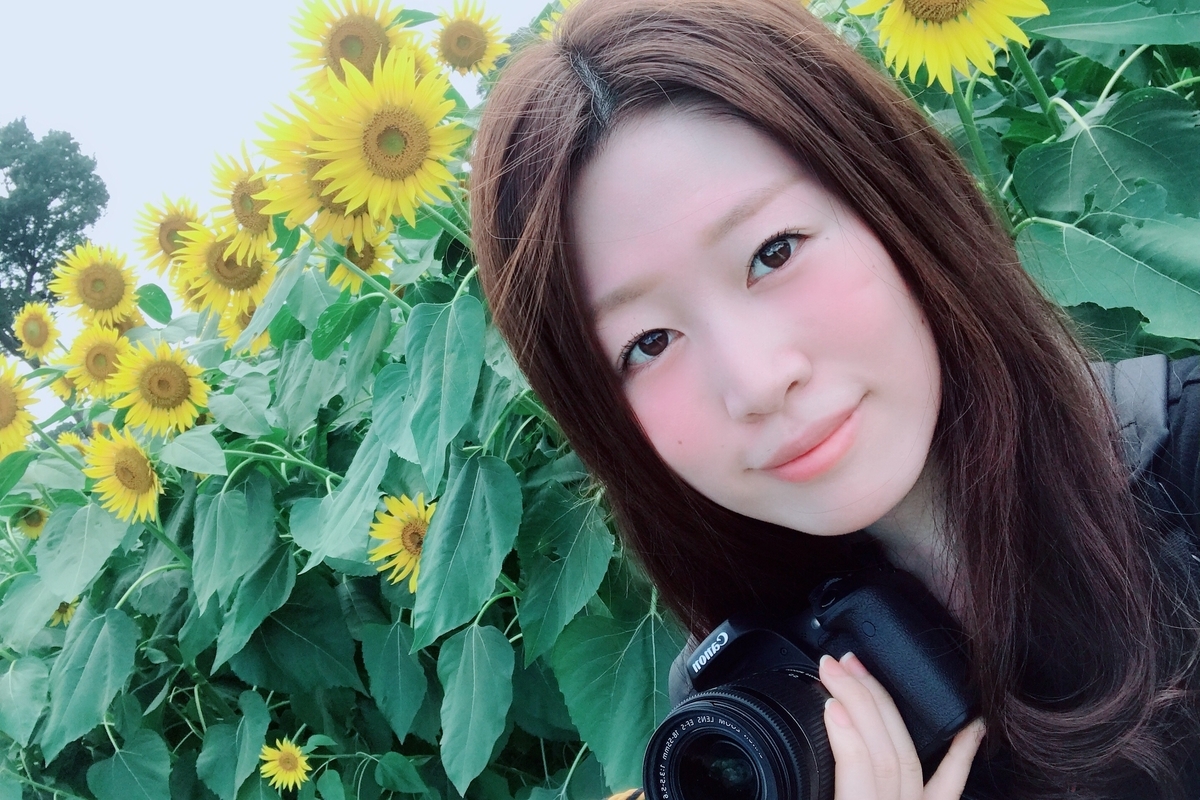 f:id:coden:20190828170814j:plain