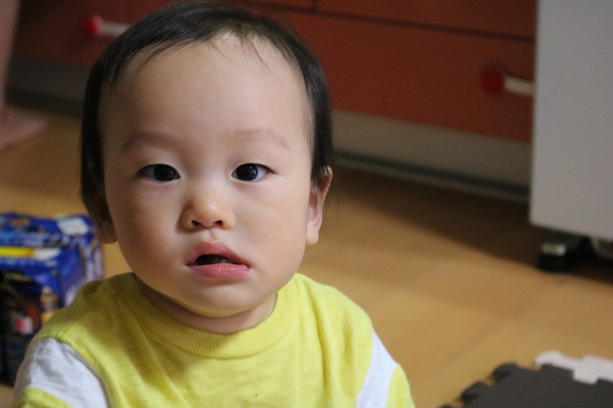 f:id:coden:20190906105731j:plain
