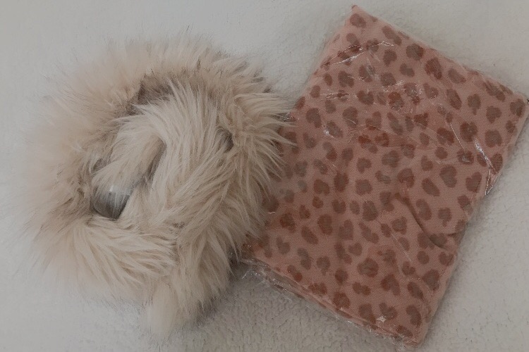 f:id:coden:20191102101459j:plain