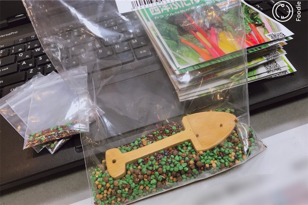 f:id:coden:20191128124824j:image f:id:coden:20191128124824j:image