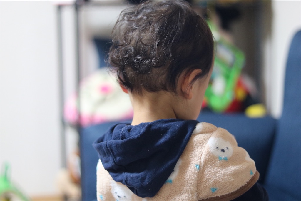 f:id:coden:20191210134242j:plain f:id:coden:20191210134242j:plain