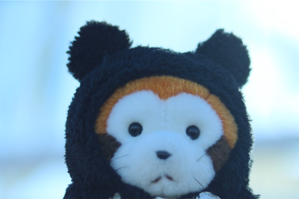 f:id:coden:20191214222554j:plain f:id:coden:20191214222554j:plain