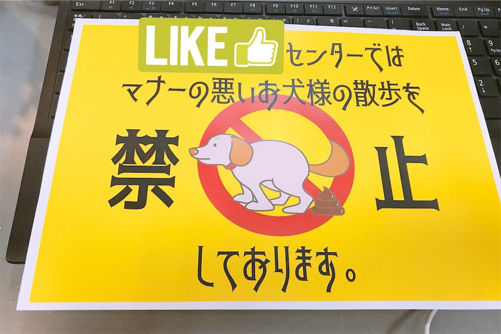 f:id:coden:20191229160945j:plain