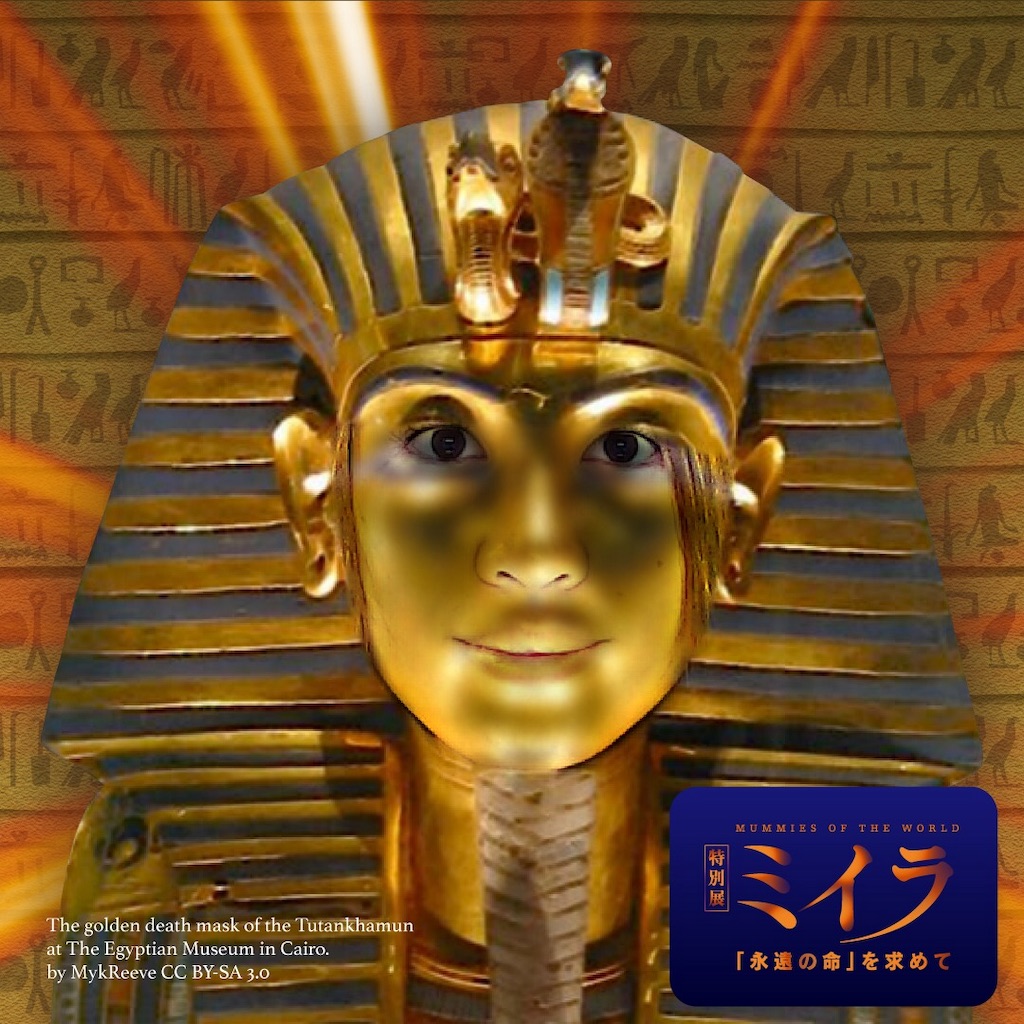 f:id:coden:20200110100653j:plain f:id:coden:20200110100653j:plain